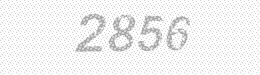 Visual security code — type the characters shown in the image